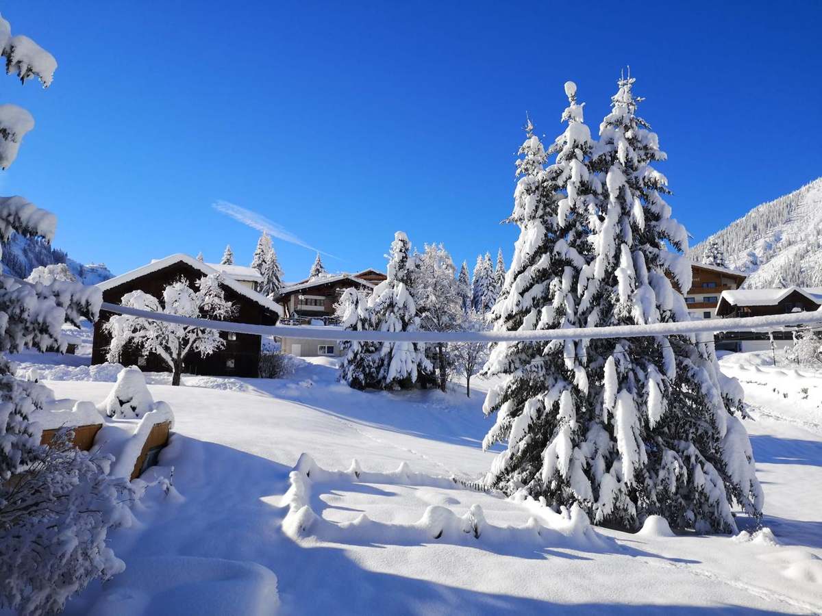 Verschneite Tannen und Häuser in Berwang bei strahlendem Sonnenschein