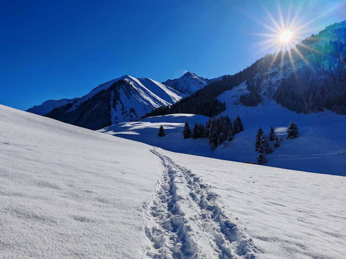 Spur durch den Neuschnee mit Sonne über dem Berwanger Bergpanorama