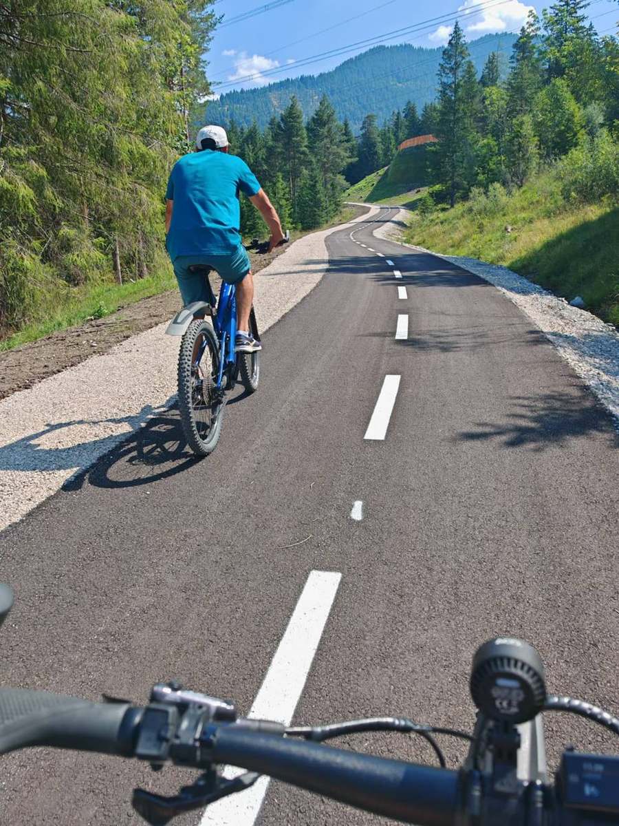 Radfahrer auf dem asphaltierten Radweg durch den Wald