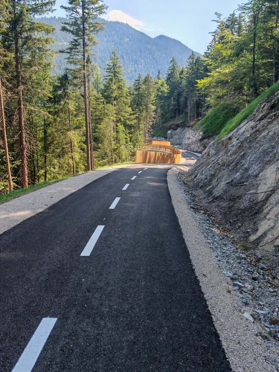 Frisch asphaltierter Radweg mit Holzgeländer im Wald